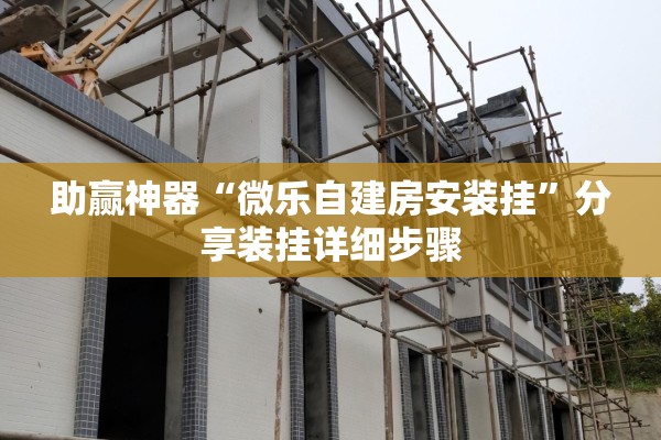 助赢神器“微乐自建房安装挂”分享装挂详细步骤
