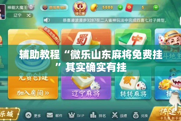 辅助教程“微乐山东麻将免费挂	”其实确实有挂