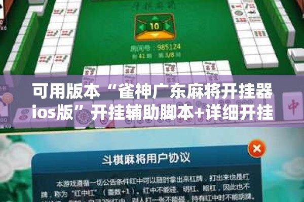 可用版本“雀神广东麻将开挂器ios版	”开挂辅助脚本+详细开挂安装教程
