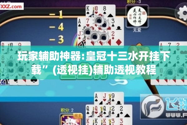玩家辅助神器:皇冠十三水开挂下载	”(透视挂)辅助透视教程