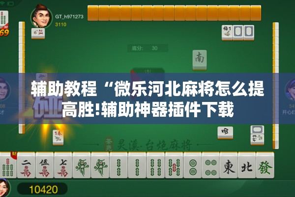 安装程序教程“微乐四川麻将有挂吗”开挂(透视)辅助教程