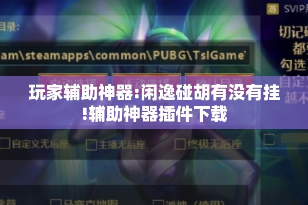 玩家辅助神器:闲逸碰胡有没有挂!辅助神器插件下载 玩家辅助神器:闲逸碰胡有没有挂!辅助神器插件下载