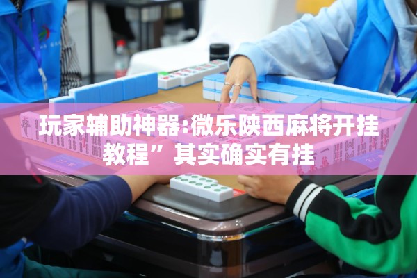 玩家辅助神器:微乐陕西麻将开挂教程	”其实确实有挂