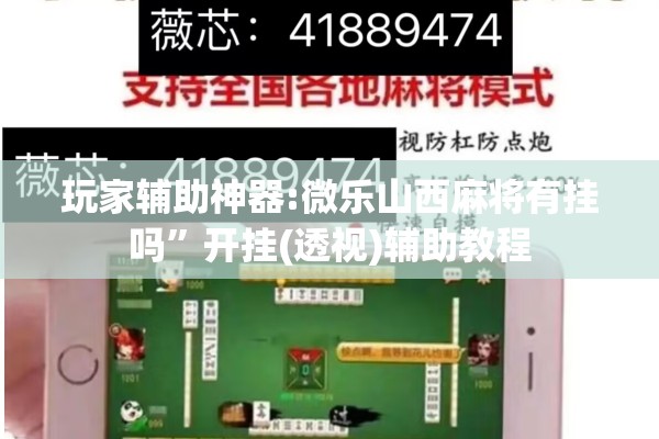 玩家辅助神器:微乐山西麻将有挂吗	”开挂(透视)辅助教程