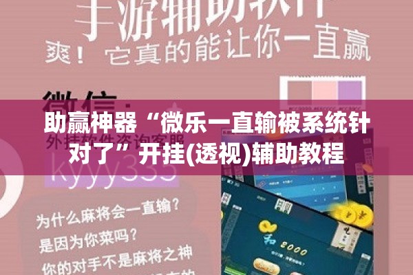 助赢神器“随意玩开挂神器”开挂辅助脚本+详细开挂安装教程