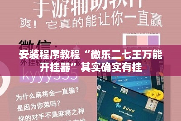 安装程序教程“微乐二七王万能开挂器”其实确实有挂