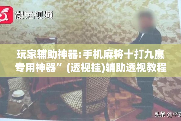 玩家辅助神器:功夫川麻怎么提高胜率!辅助神器插件下载