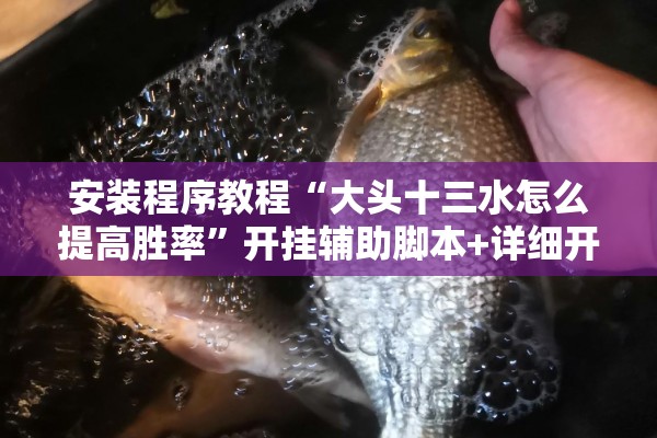 安装程序教程“大头十三水怎么提高胜率”开挂辅助脚本+详细开挂安装教程