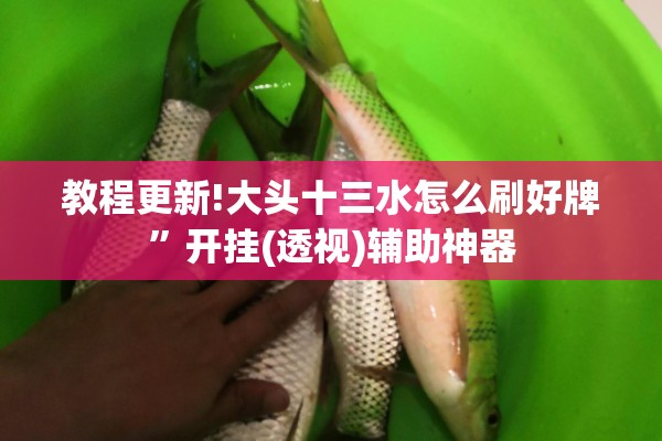 [教程经验]“哈局十三张有挂是真是假”开挂辅助脚本+详细开挂安装教程