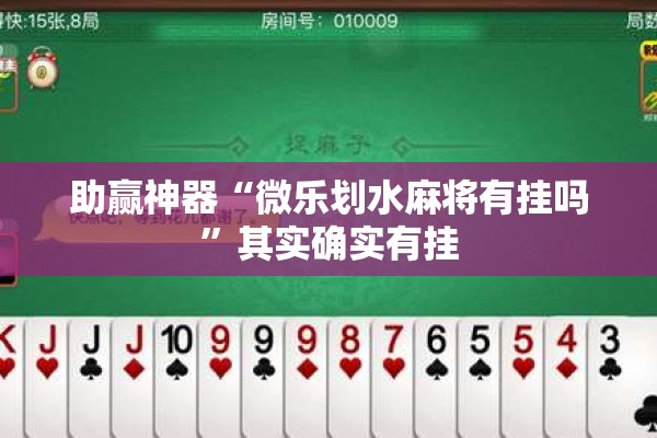辅助教程“微乐捉老麻子开挂神器”开挂(透视)辅助神器
