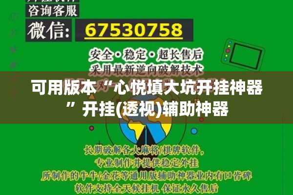安装程序教程“决胜麻将有没有挂”分享装挂详细步骤