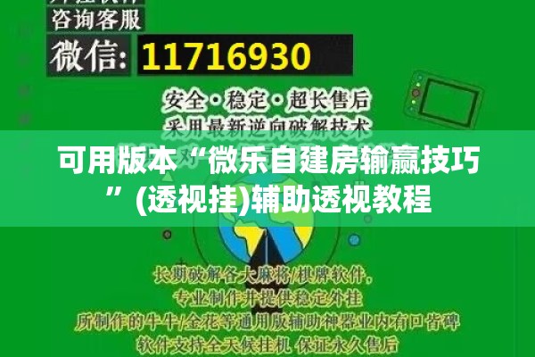 可用版本“微乐自建房输赢技巧	”(透视挂)辅助透视教程