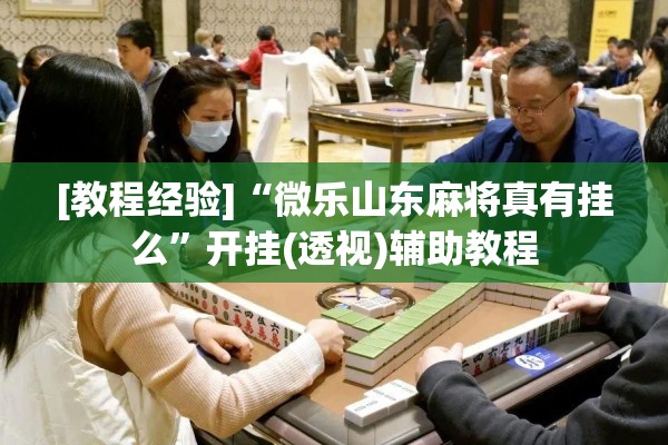[教程经验]“微乐山东麻将真有挂么	”开挂(透视)辅助教程