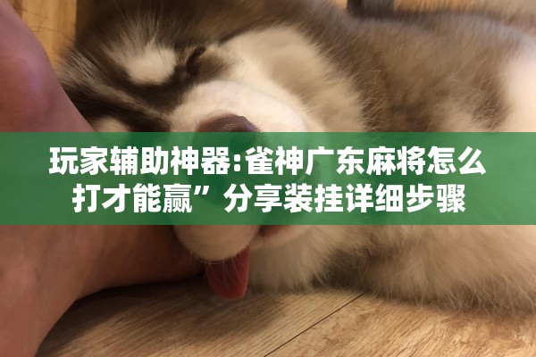 【12月份疫情/12月份疫情最严重的有几个地方 城市】